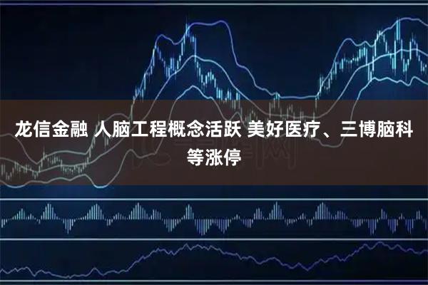 龙信金融 人脑工程概念活跃 美好医疗、三博脑科等涨停